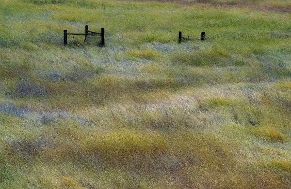 Gulin, Sylvia 아티스트의 USA-Washington State-Palouse with wooden fence posts in grass field작품입니다.